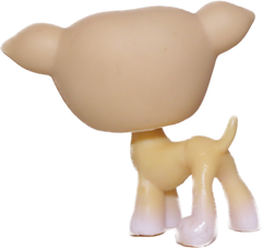 #0875 Greyhound