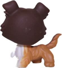 #0237 Collie