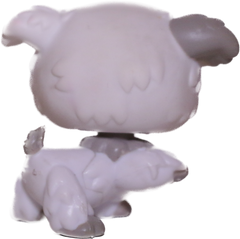 #0203 Poodle Puppy