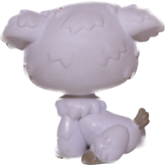 #0204 Poodle Puppy