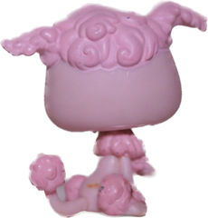 #0402 Poodle