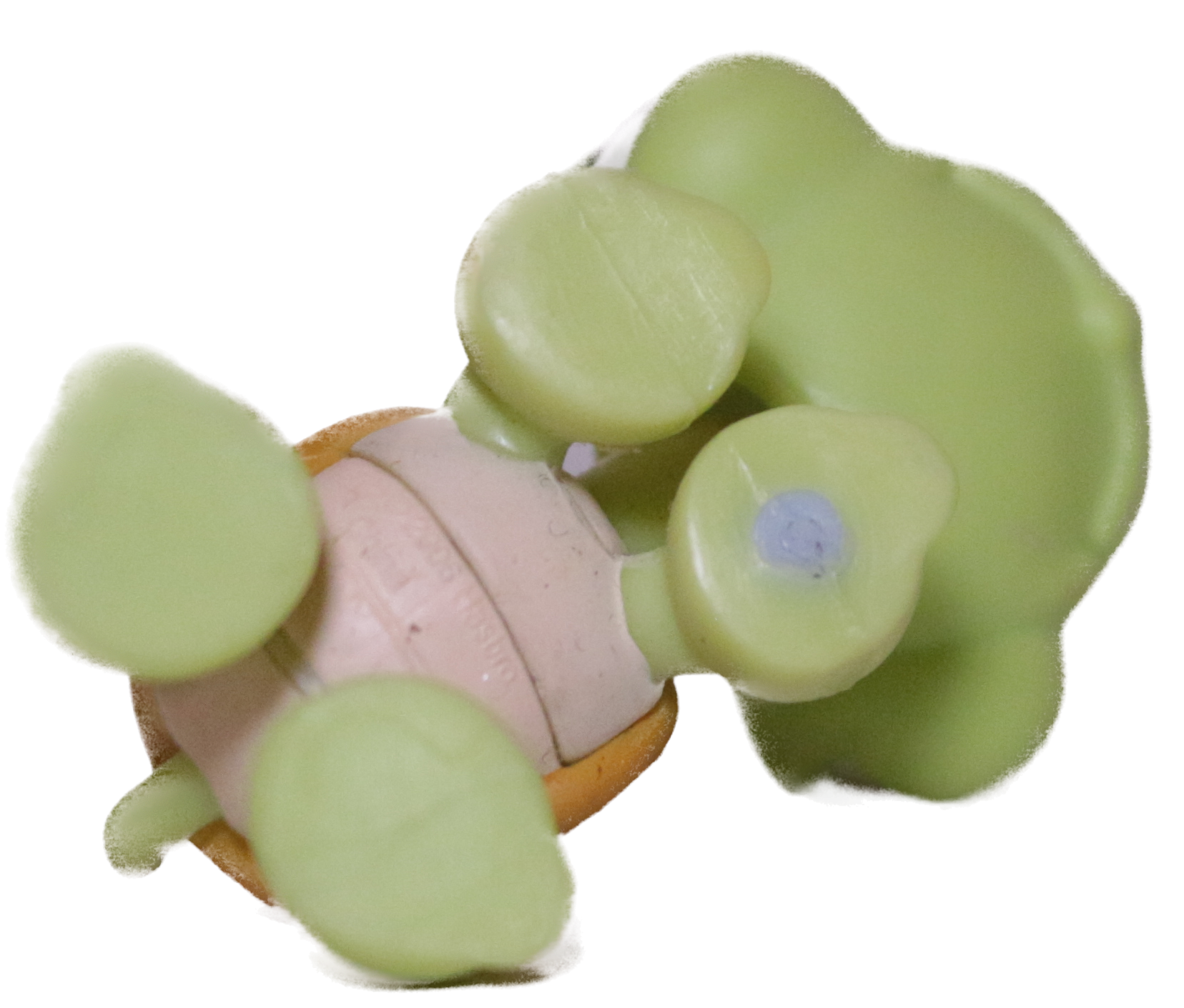#0350 Turtle