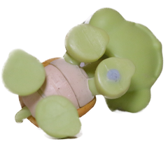 #0350 Turtle