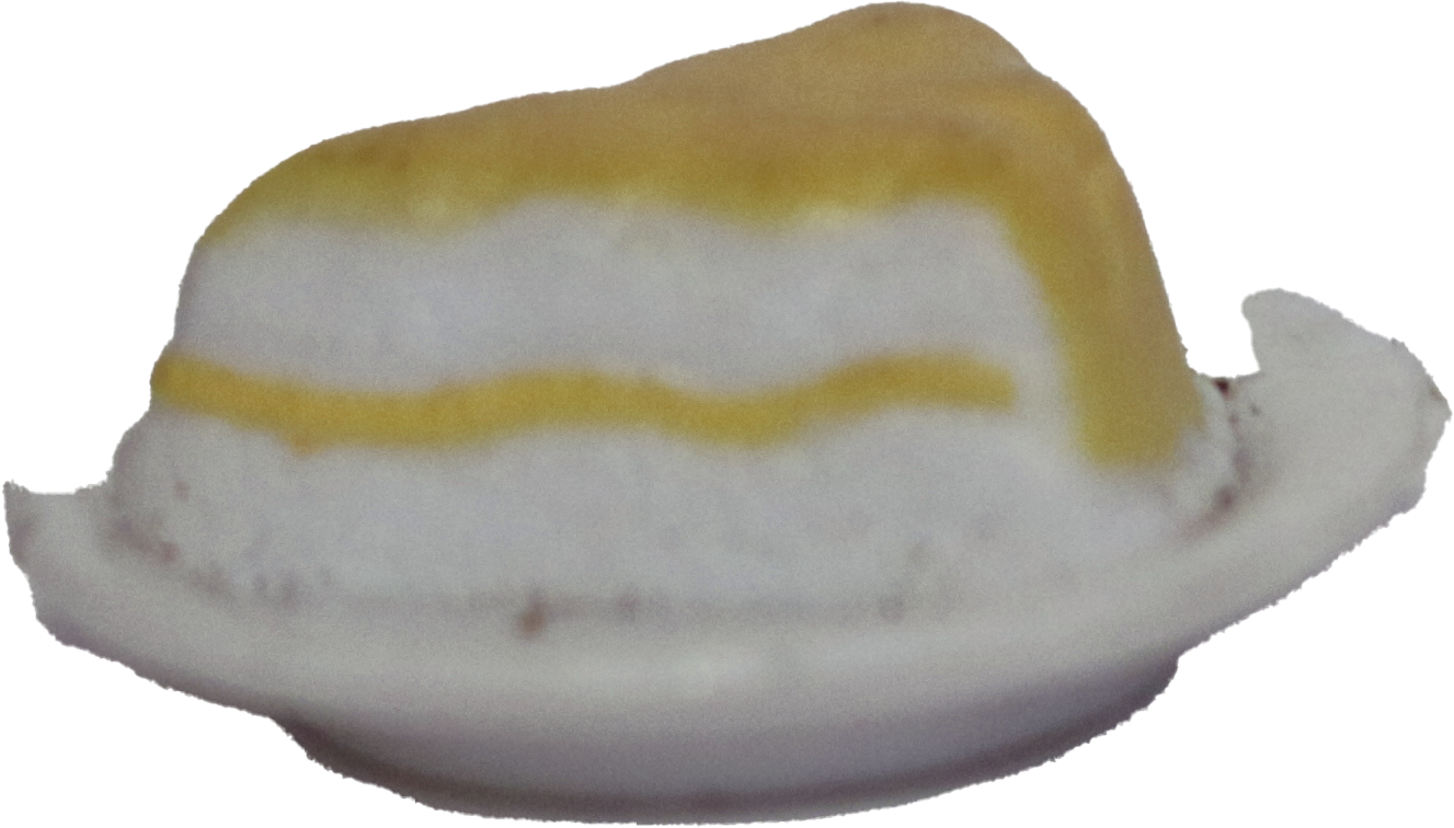 Cake Plate
