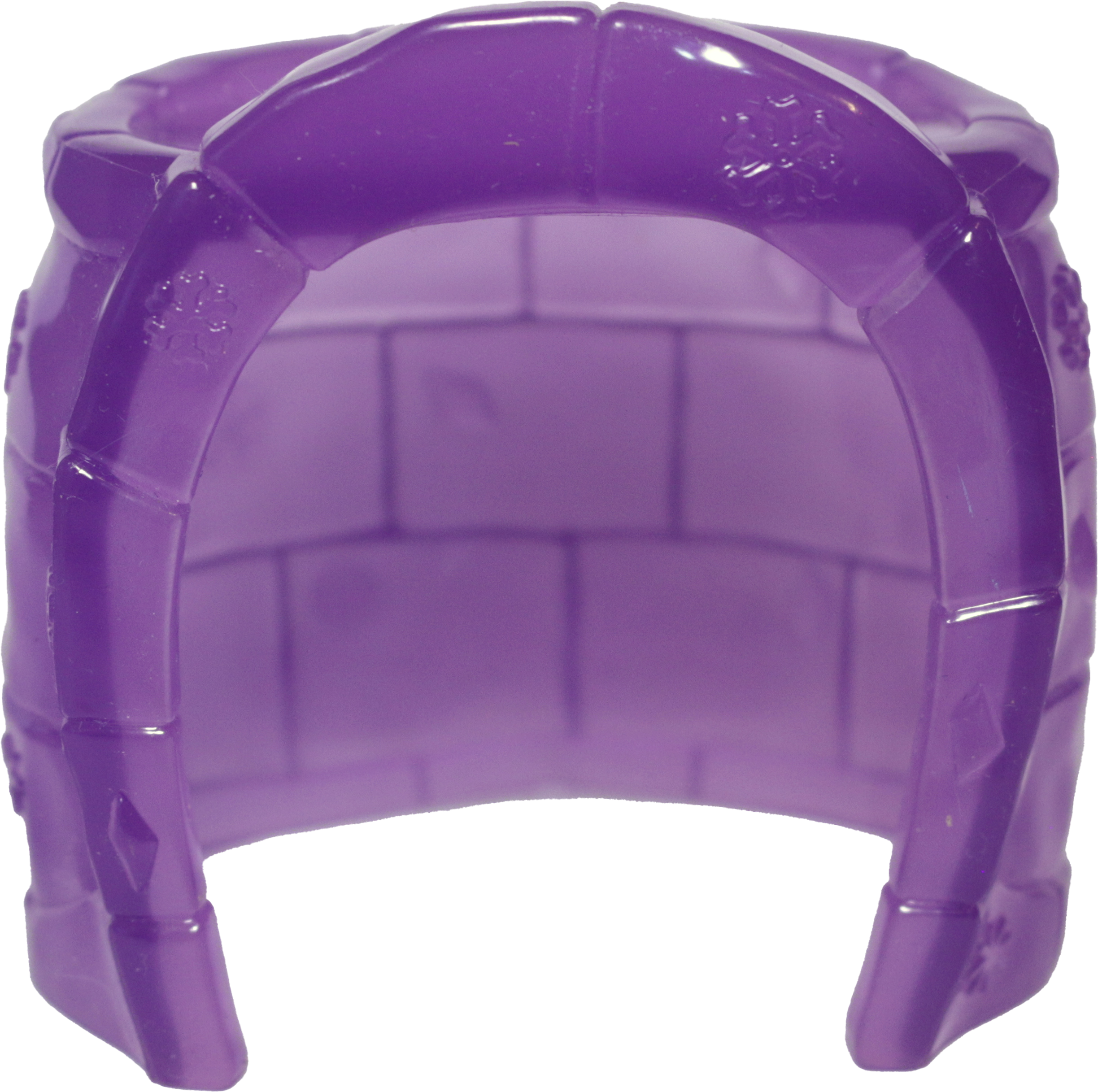 Igloo