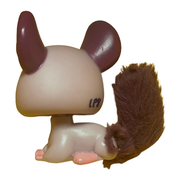 #2415 Chinchilla
