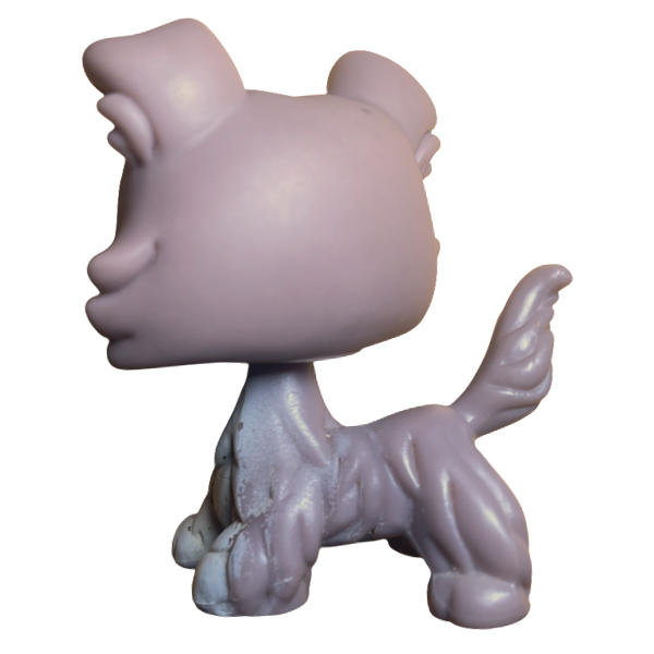 #0067 Collie