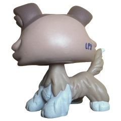#1330 Collie