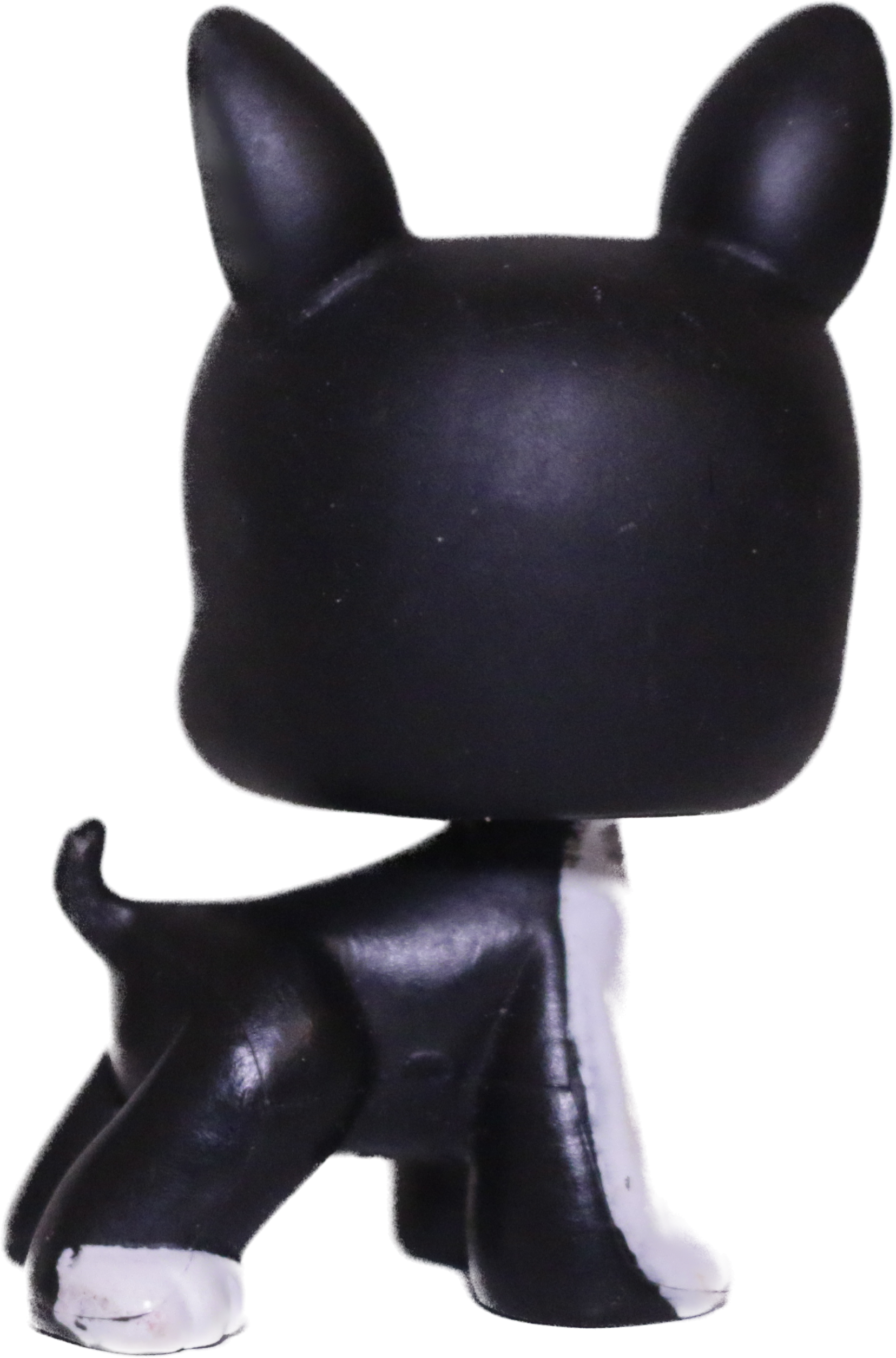 #0063 Boston Terrier