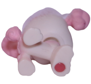 #0225 Poodle