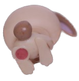 #0313 Rabbit