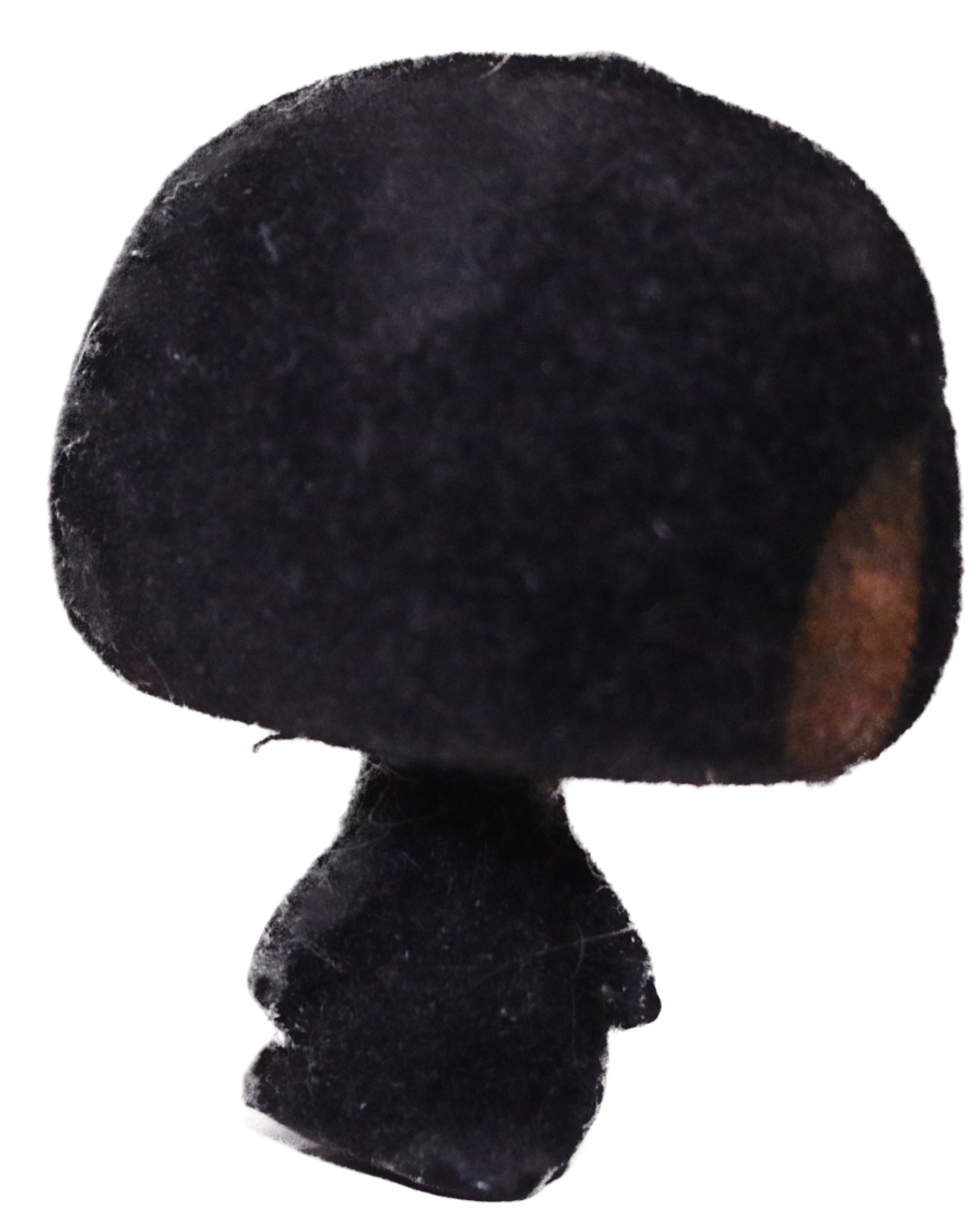 #0333 Penguin