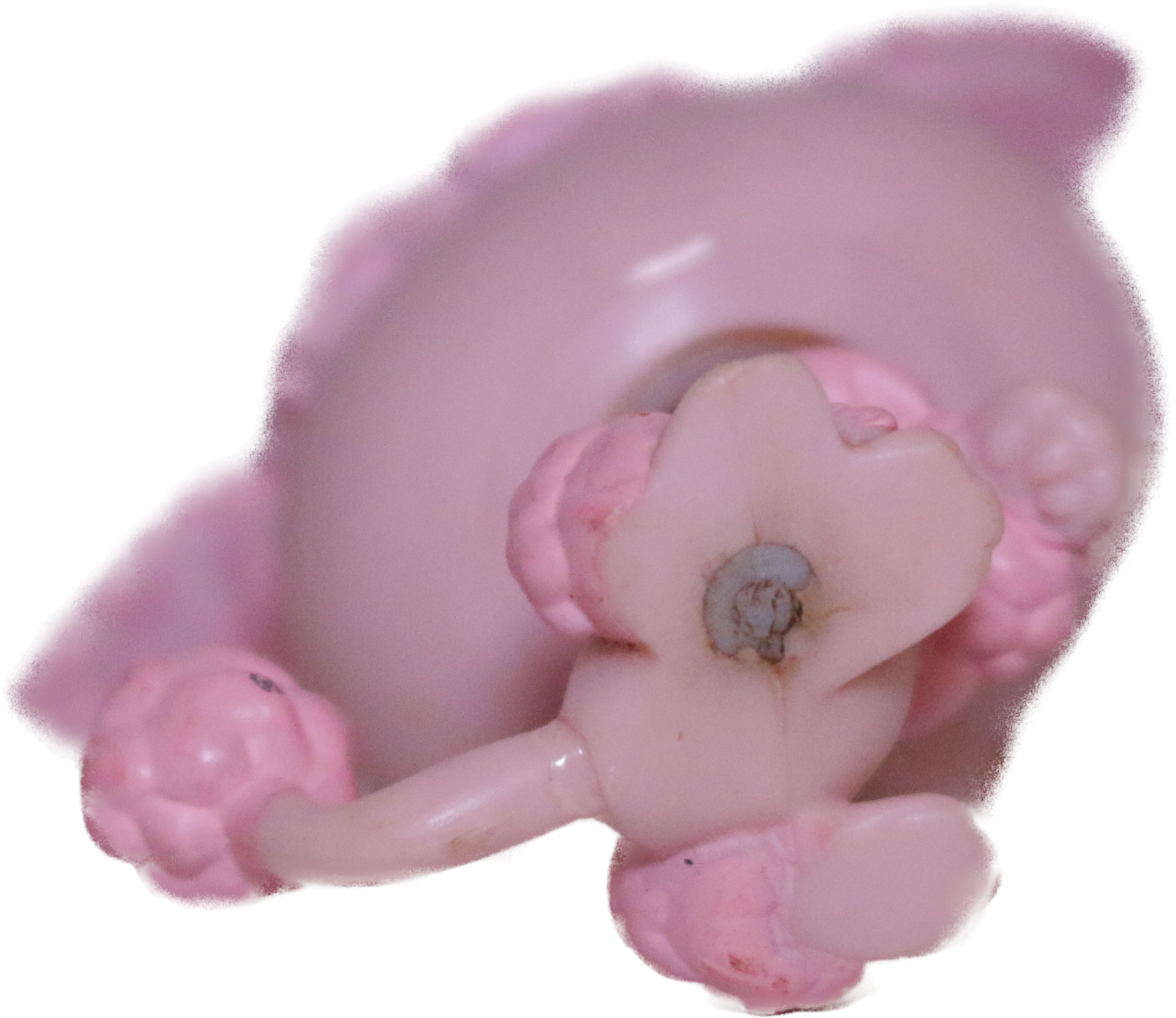 #0402 Poodle