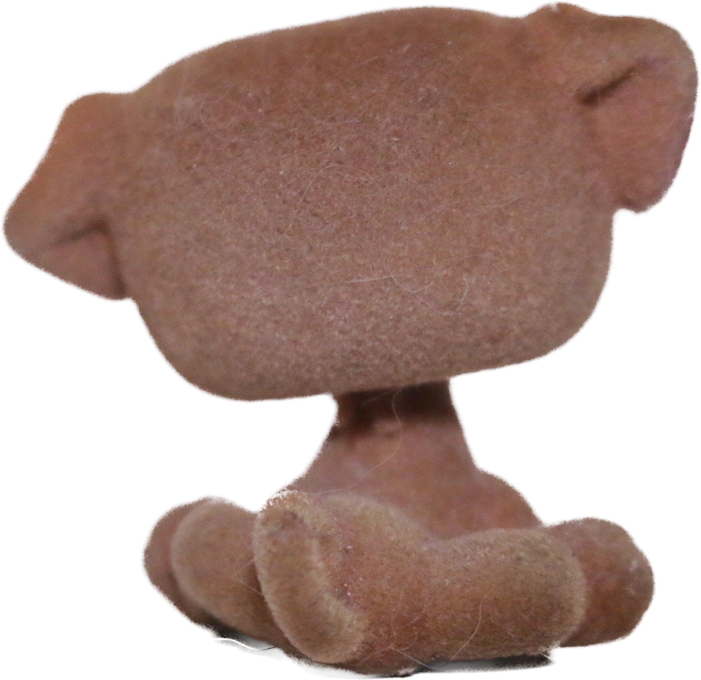 #0439 Pug