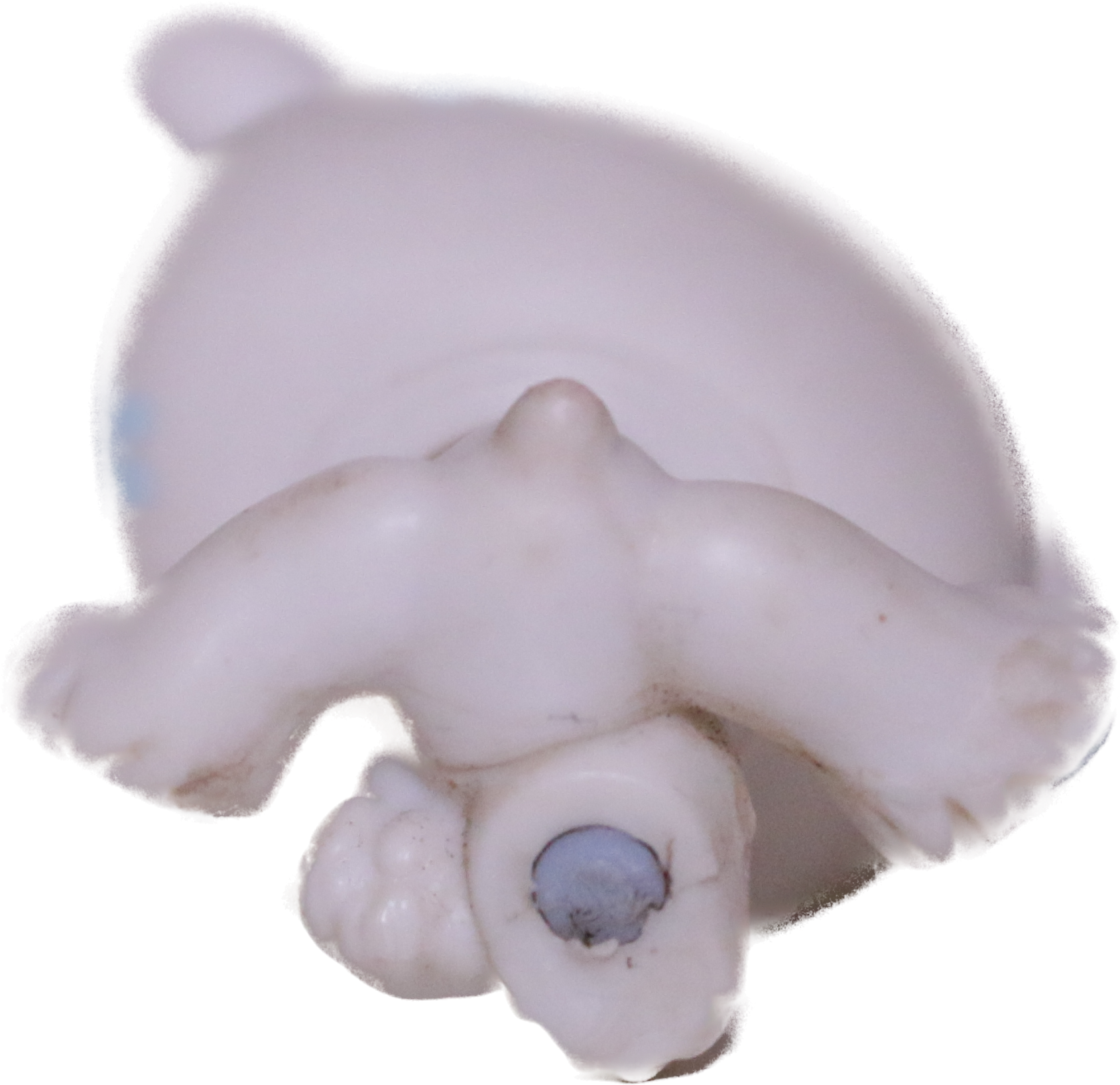 #0647 Polar Bear