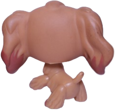 #0716 Cocker Spaniel