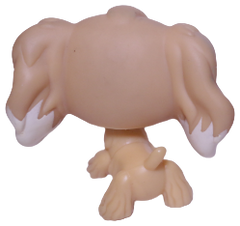 #0748 Cocker Spaniel