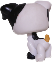 #0803 Jack Russell