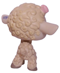 #1003 Sheep