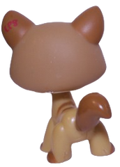 #1174 Destiny Cat
