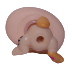 #1344 Baby Rabbit