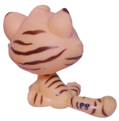 #1608 Sitting Bonbon Cat