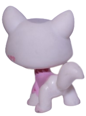 #1699 Destiny Cat