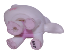 #1699 Destiny Cat