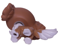 #1825 King Charles Spaniel