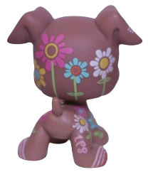 #1840 Boxer