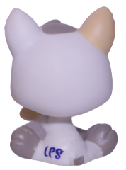#1876 Puppy