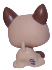 #1878 Puppy