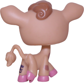 #2307 Cow