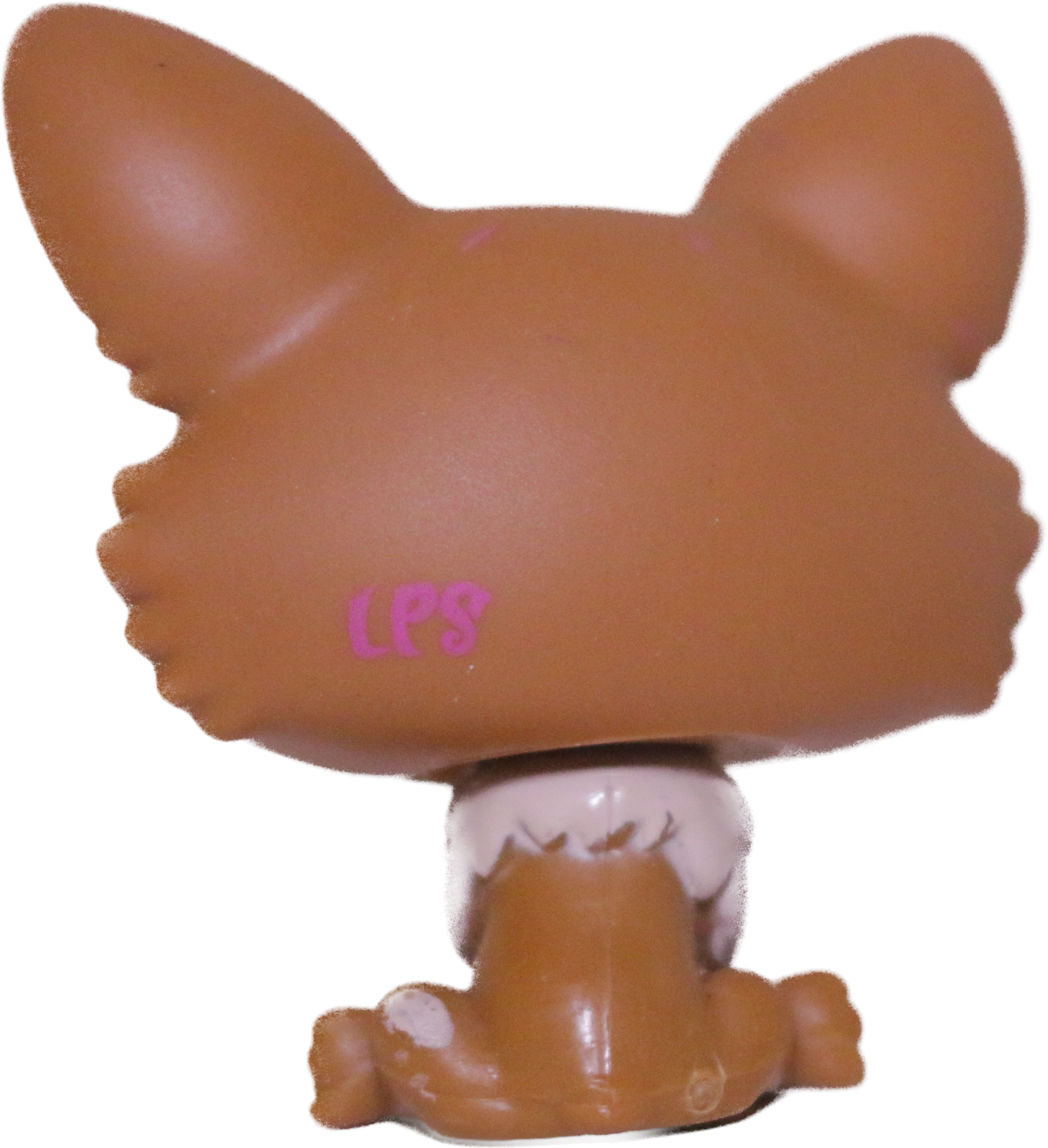 #3567 Corgi