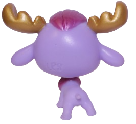No # Moose "Cady"