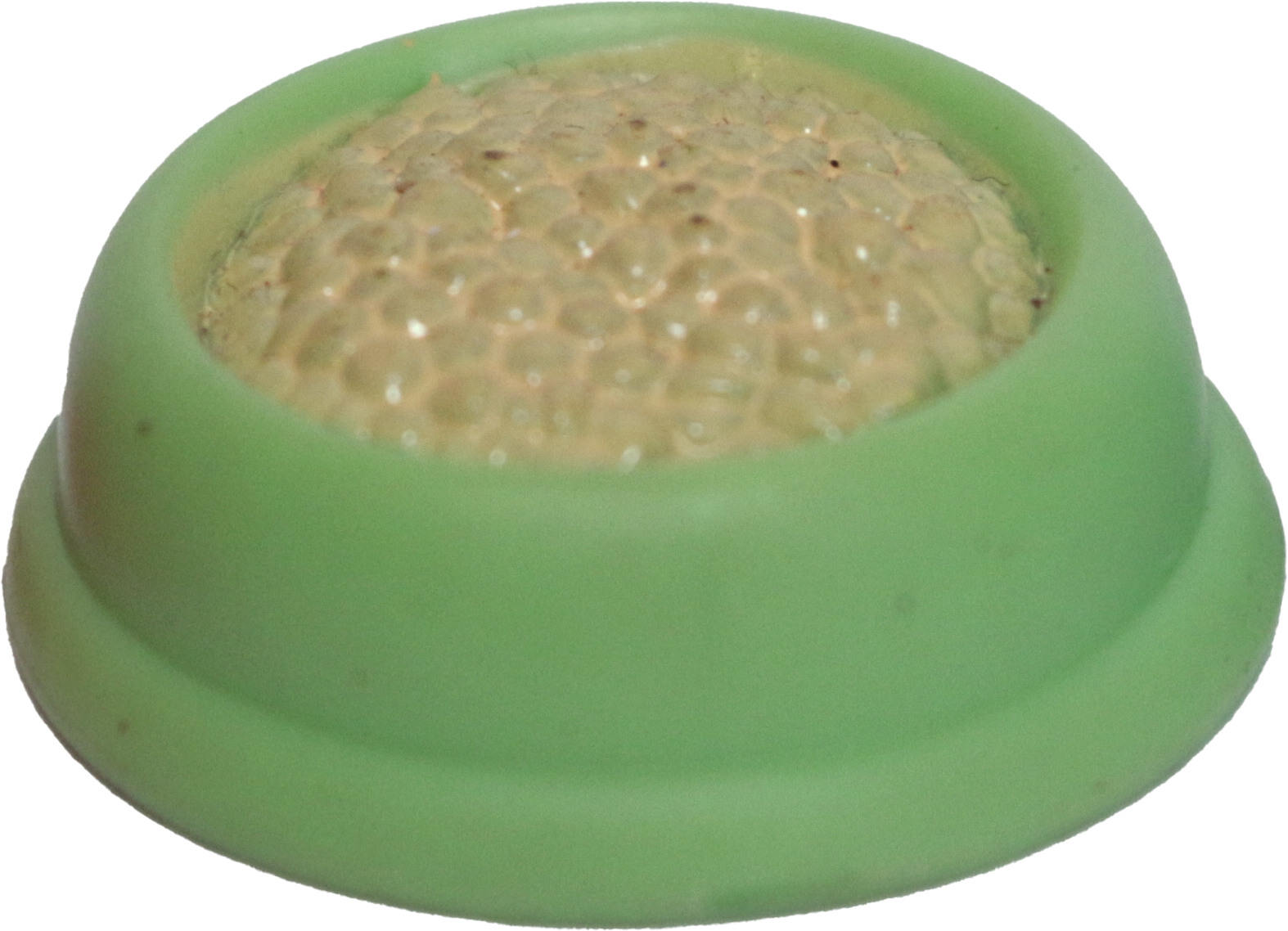 Pet Food Bowl