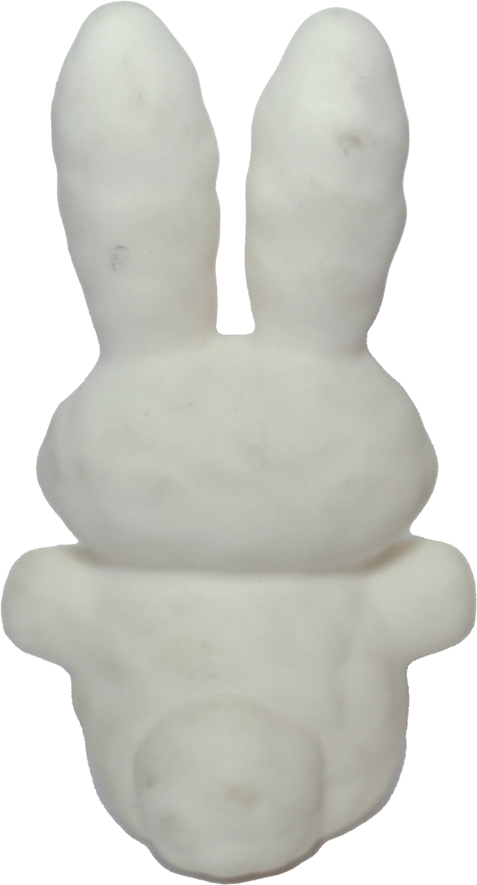 Snow Bunny