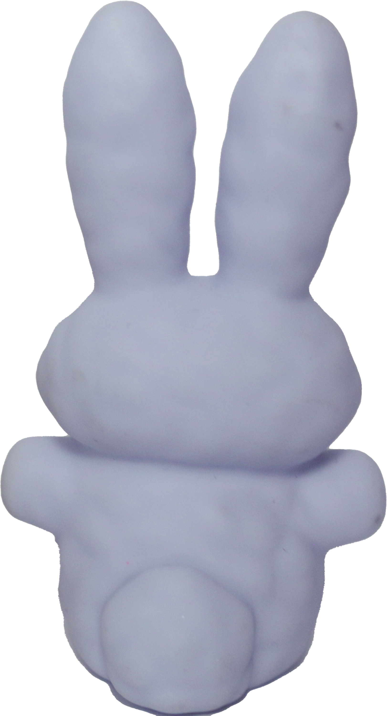 Snow Bunny