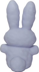 Snow Bunny
