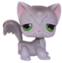 #0020 Angora Longhair Cat