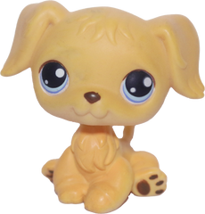 #0021 Golden Retriever