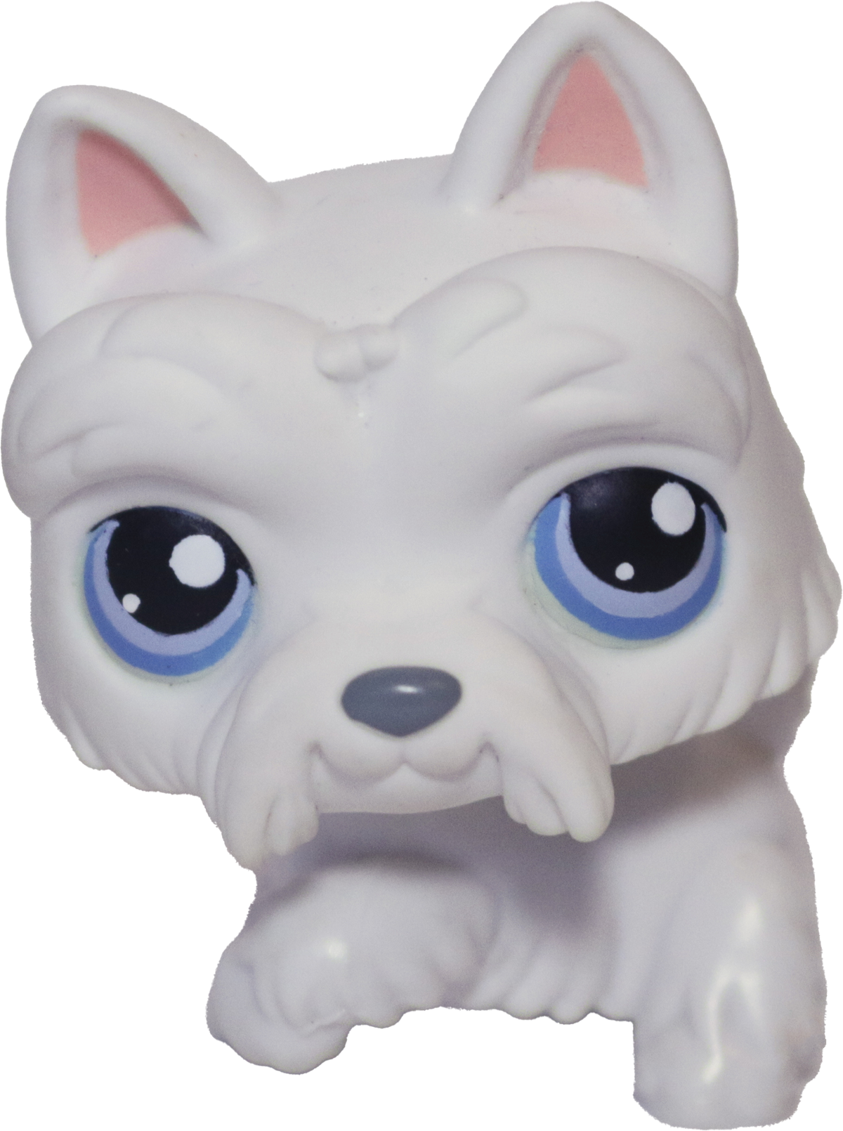 #0024 Scottish Terrier