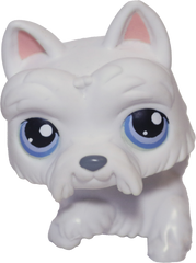 #0024 Scottish Terrier