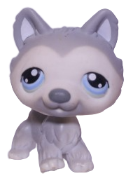 #0069 Husky