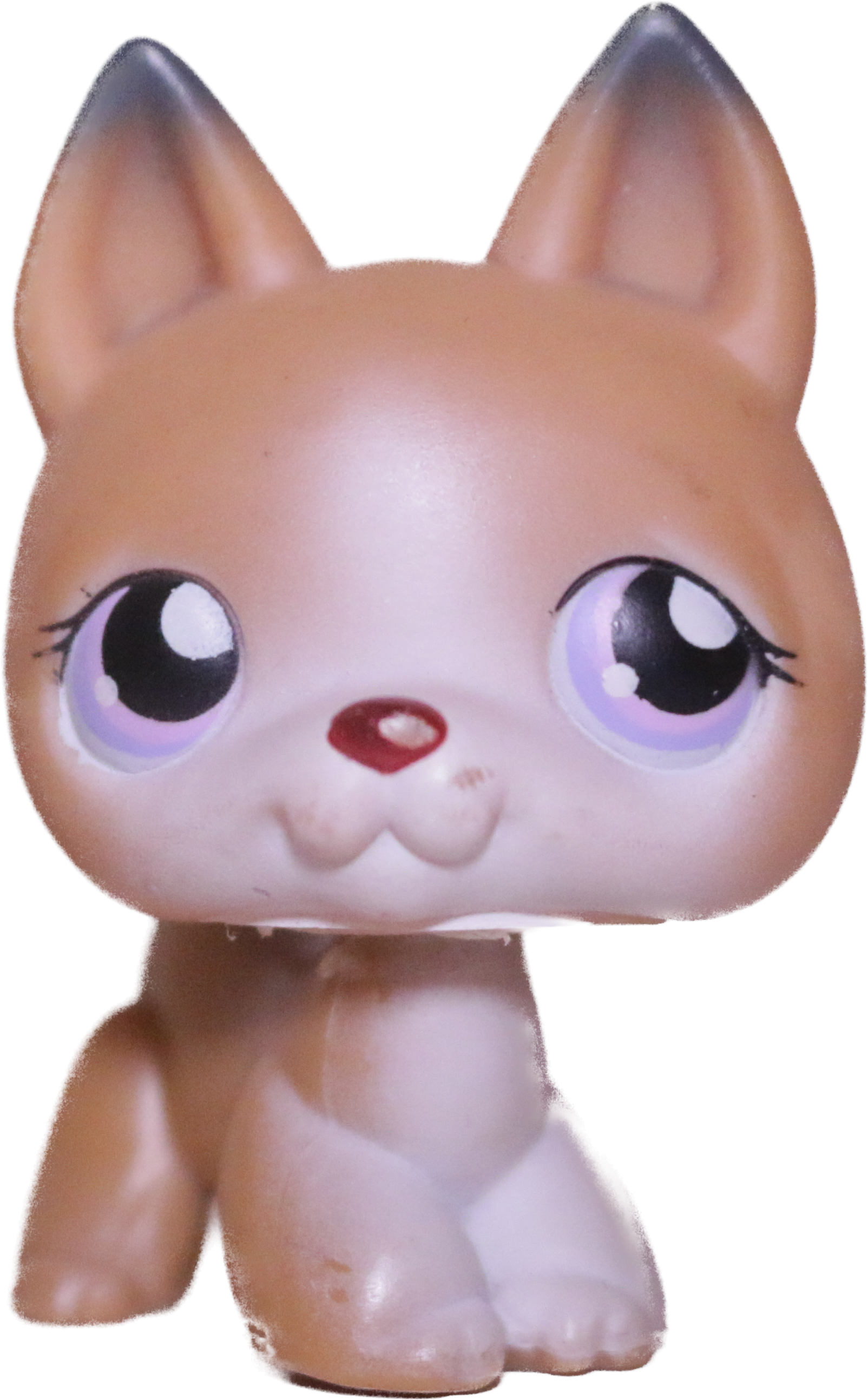 #0112 German Shepherd