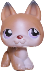 #0112 German Shepherd