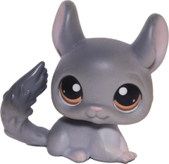 #0144 Chinchilla