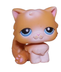 #0153 Persian Cat