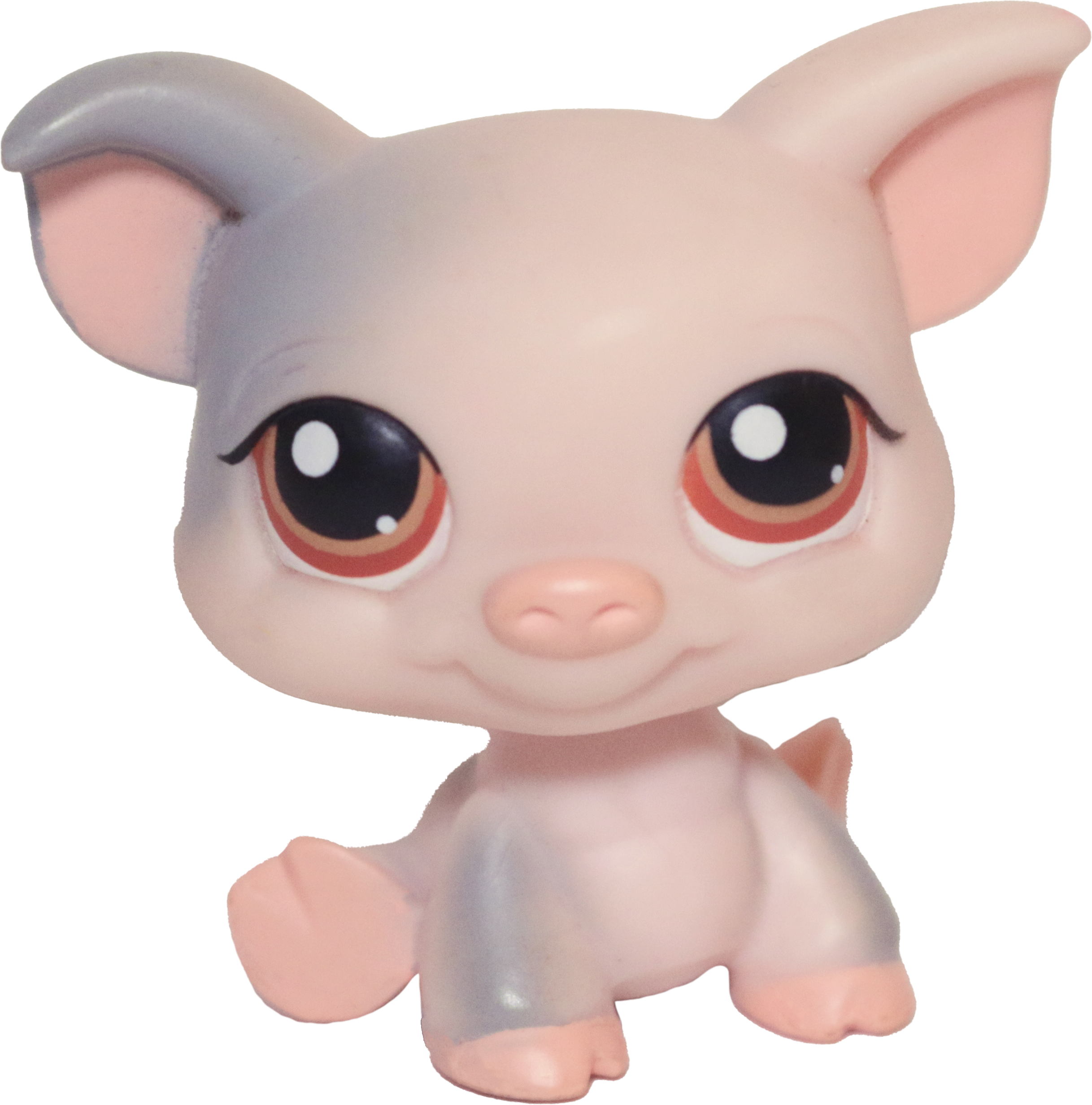 #0259 Pig