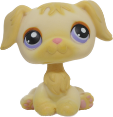 #0268 Golden Retriever